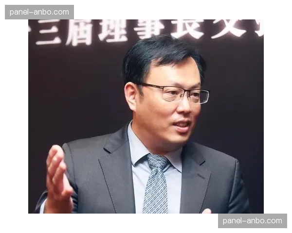 国际拳联（IBA）财务审计报告发布，面临新一轮停权危机