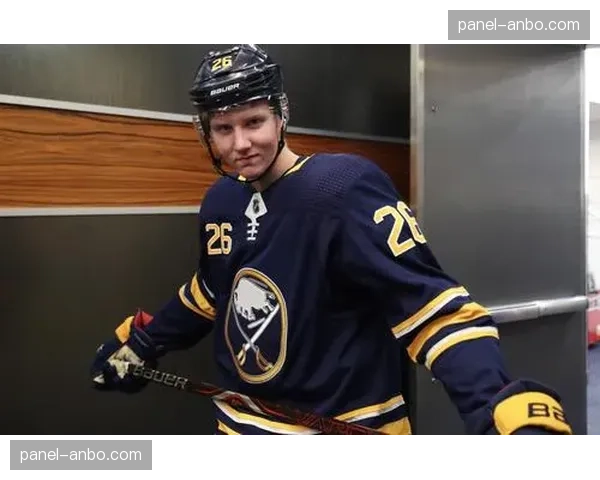 前NHL球队老板财务欺诈案进入陪审团审议阶段